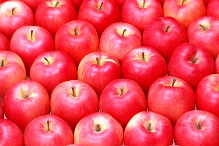 Apple - TMF Florida Fruits - www.TMFflorida.com - Tropical Medical Fruits - www.TropicalMedicalFruits.com