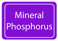 Phosphorus - Fruit List - Highest to Lowest - TMF Florida Fruits - www.TMFFlorida.com - Tropical Medical Fruits - www.TropicalMedicalFruits.com